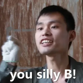 you silly B！