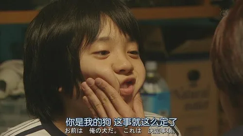 你是我的狗这事就这么定了前木俺0犬。二九(決定事