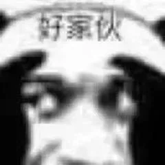 好家伙 高糊熊猫头表情包（好家伙 高糊熊猫头表情包）