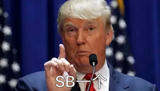 SB 一个