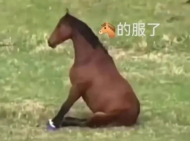 的服了(马的服了)（的服了(马的服了)）