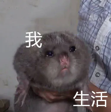 被生活掐住脖子的竹鼠（被生活掐住脖子的竹鼠）