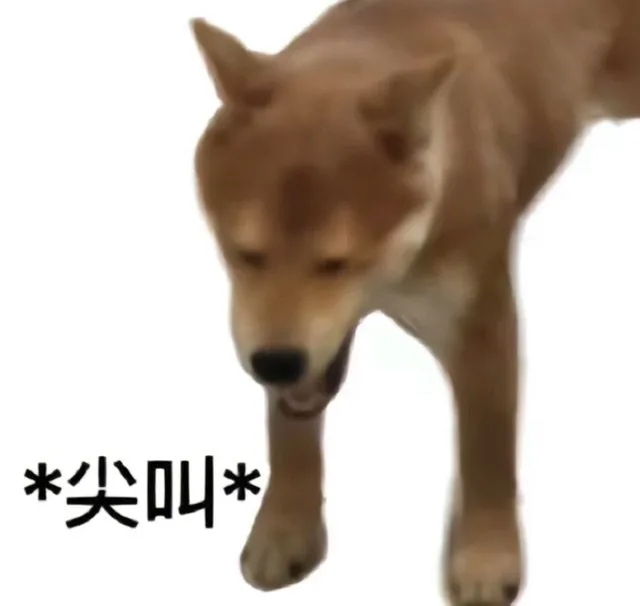 *尖叫*（*尖叫*）