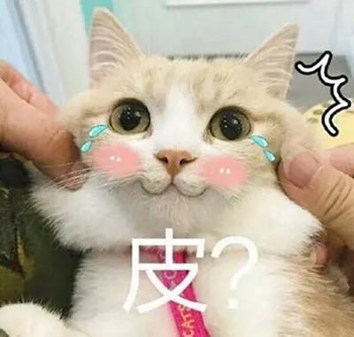 皮