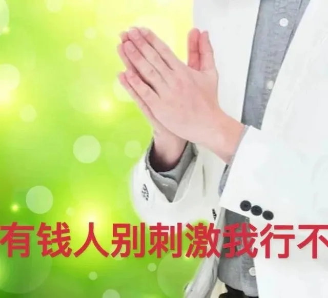 有钱人别刺激我行不（有钱人别刺激我行不）