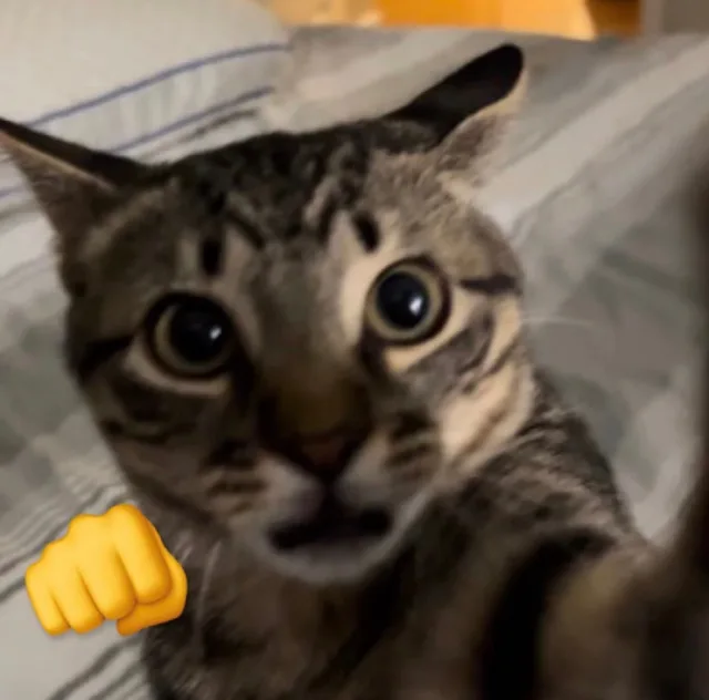 心
