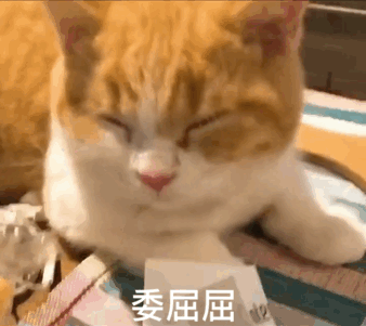 委屈屈（猫咪流泪）