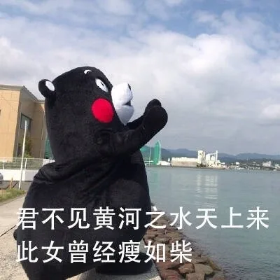 君不见黄河之水天上来此女曾经瘦如柴