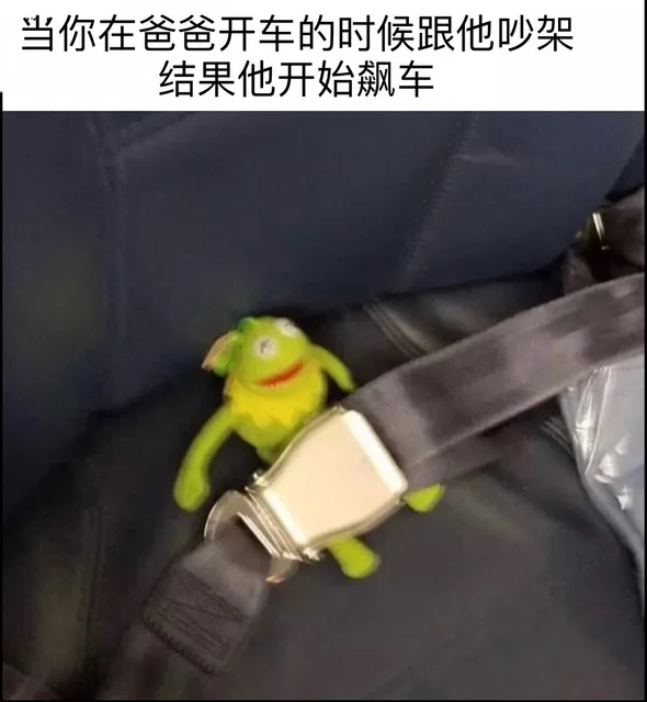 当你在爸爸开车的时候跟他吵架结果他开始飙车