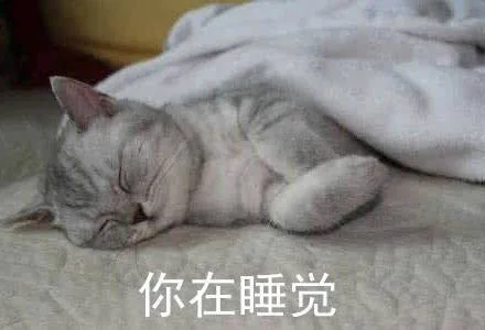 你在睡觉（你在睡觉）