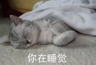 暑假在家的我_暑假_妈妈表情包