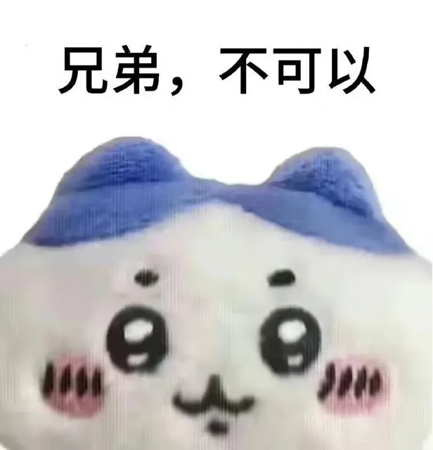 兄弟，不可以（兄弟，不可以）