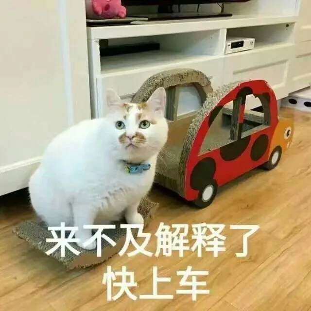 来不及解释了 快上车