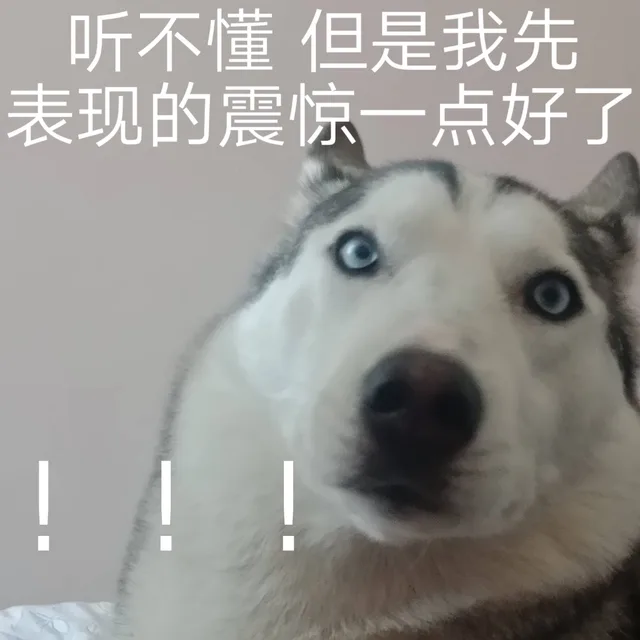 听不懂但是我先表现的震惊一点好了