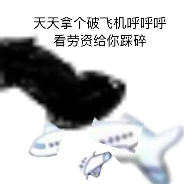 天天拿个破飞机呼呼呼看劳资给你踩碎