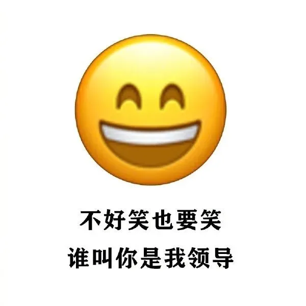 AA 不好笑也要笑谁叫你是我领导（AA 不好笑也要笑谁叫你是我领导）
