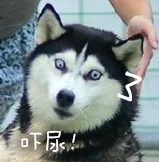 吓尿