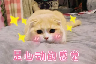 是心动的感觉