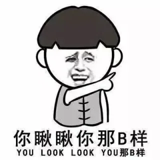 你瞅瞅你那B样