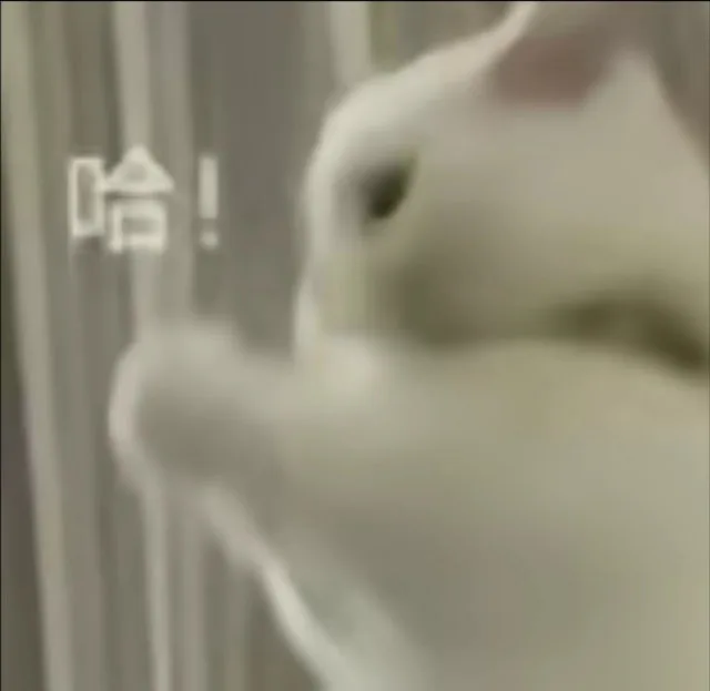 哈！（哈！）