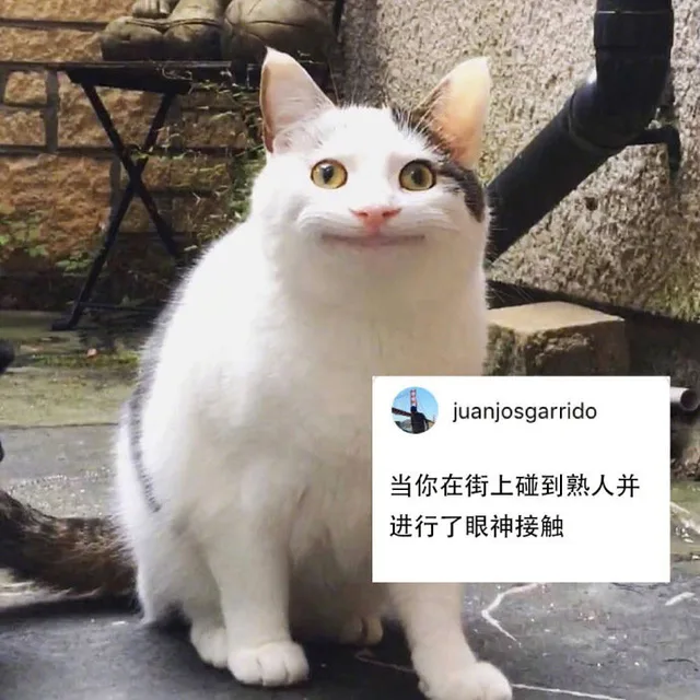 当你在街上碰到熟人并进行了眼神接触