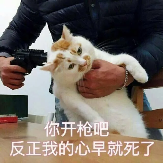 你开枪吧，反正我的心早就死了