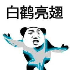 白鹤亮翅