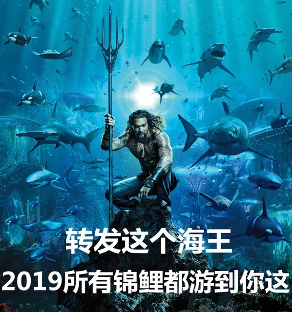 转发这个海王，2019所有锦鲤都游到你这