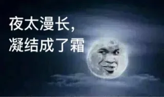 夜太漫长，凝结成了霜