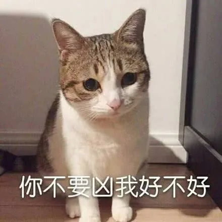 你不要凶我好不好（你不要凶我好不好）