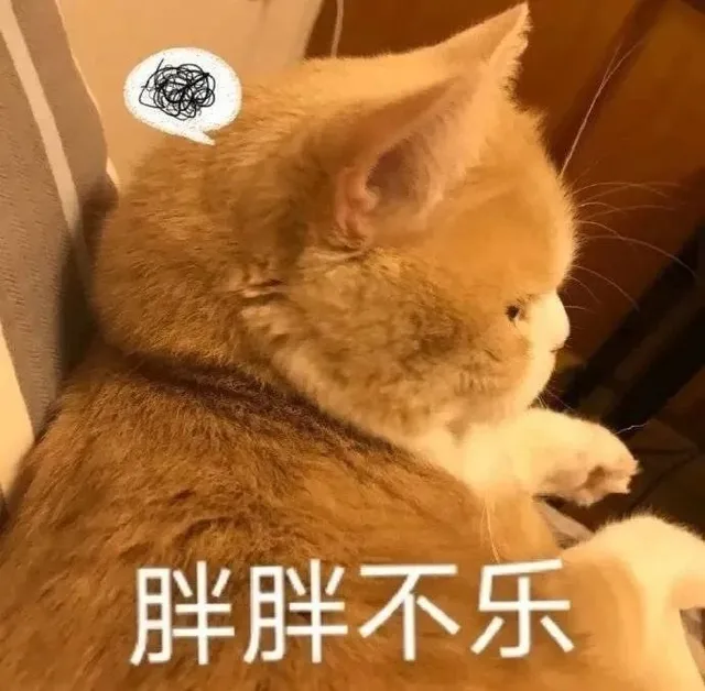 胖胖不乐（胖胖不乐）