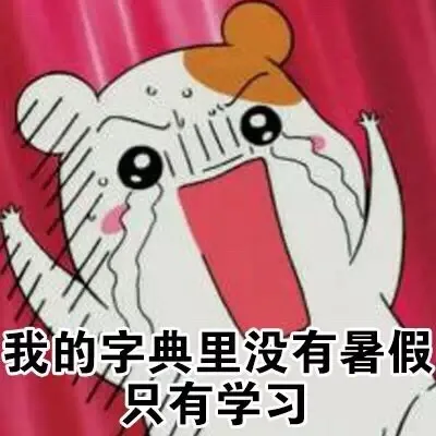我的字典里没有暑假，只有学习