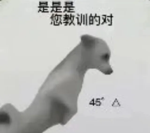是是是您教训的对45A（是是是您教训的对45A）