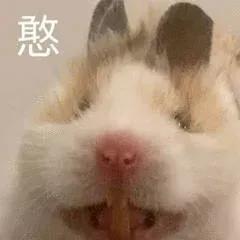 小仓鼠表情包_仓鼠