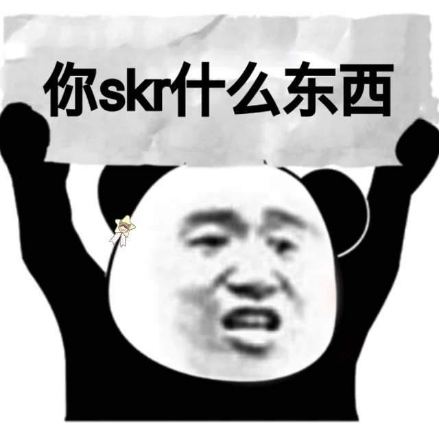 你 skr 个什么东西