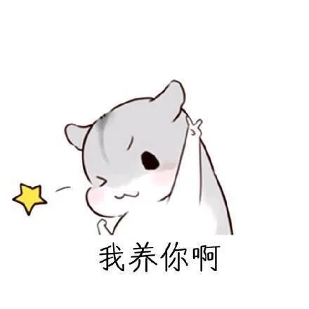 我养你啊（我养你啊）