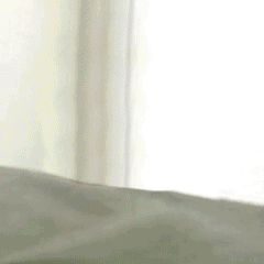 鲜花送老婆（鲜花送老婆）