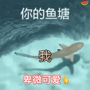 你的鱼塘我卑微可爱（你的鱼塘我卑微可爱）