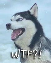 WTF？！（WTF？！）