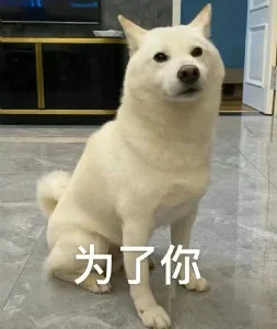 为了你(狗狗表情包)（为了你(狗狗表情包)）