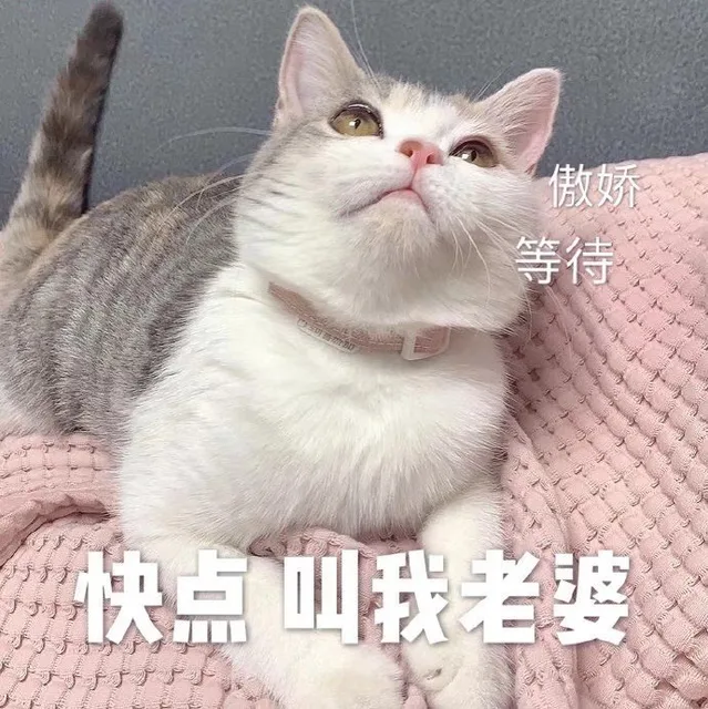 傲娇等待快点叫我老婆