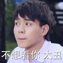 不想看你，太丑