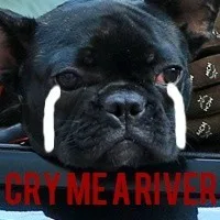 CRY ME ARIVEL（CRY ME ARIVEL）