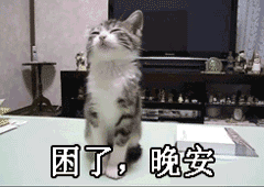 困了，晚安