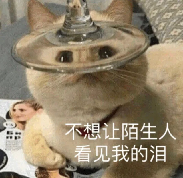 不想让陌生人看见我的泪（不想让陌生人看见我的泪）