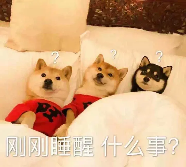 刚刚睡醒什么事？（狗子）（刚刚睡醒什么事？（狗子））