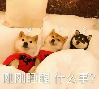 刚刚睡醒什么事？（狗子）