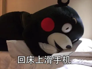 回床上滑手机