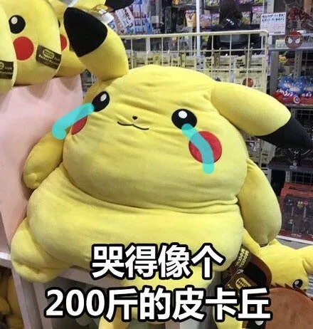 哭得像个200斤的皮卡丘