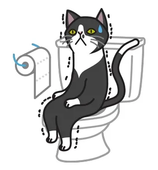 黑猫上厕所（黑猫上厕所）
